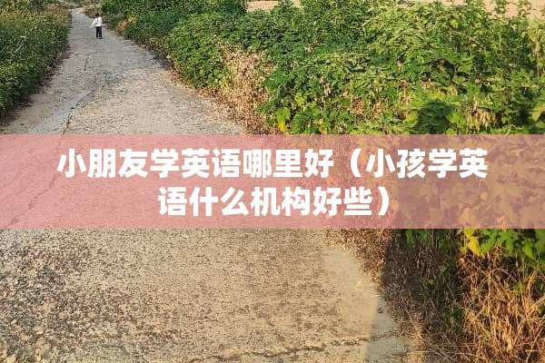 小朋友学英语哪里好（小孩学英语什么机构好些）
