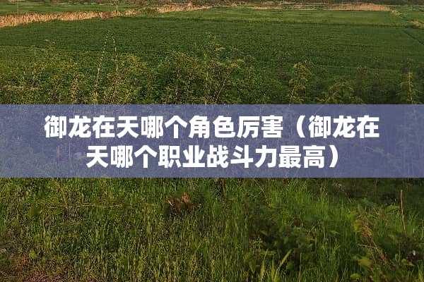 御龙在天哪个角色厉害（御龙在天哪个职业战斗力最高）