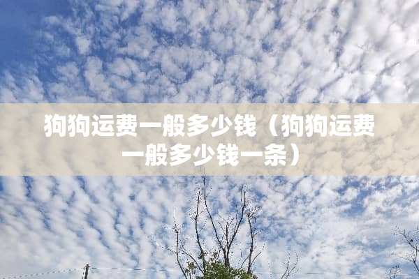 狗狗运费一般多少钱（狗狗运费一般多少钱一条）
