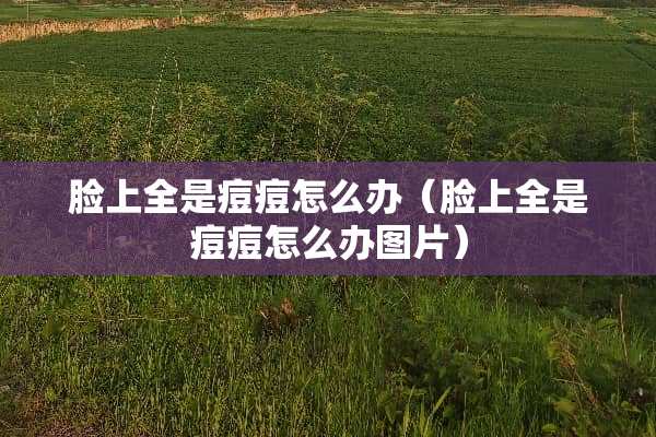 脸上全是痘痘怎么办（脸上全是痘痘怎么办图片）