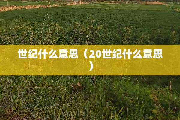 世纪什么意思（20世纪什么意思）