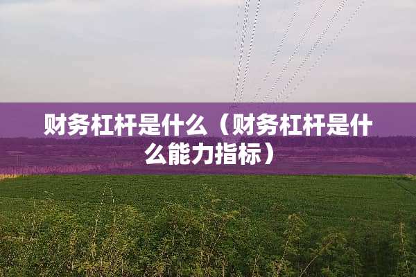 财务杠杆是什么（财务杠杆是什么能力指标）