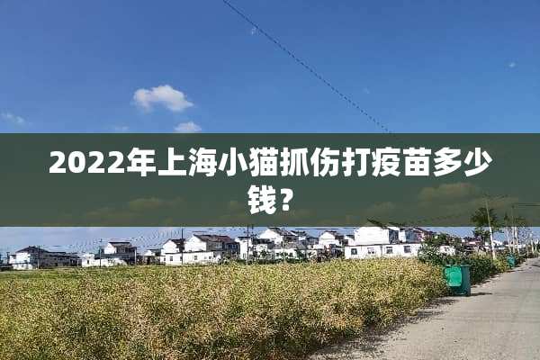 2022年上海小猫抓伤打**多少钱？