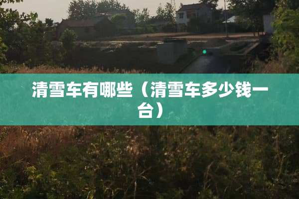 清雪车有哪些（清雪车多少钱一台）