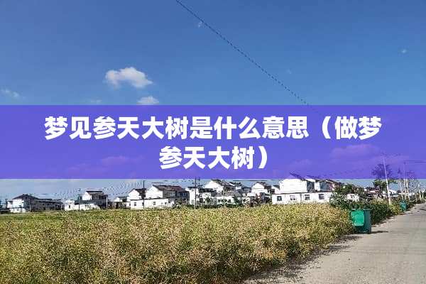 梦见参天大树是什么意思（做梦参天大树）
