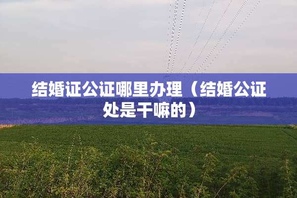 结婚证公证哪里办理（结婚公证处是干嘛的）