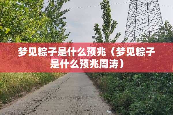 梦见粽子是什么预兆（梦见粽子是什么预兆周涛）