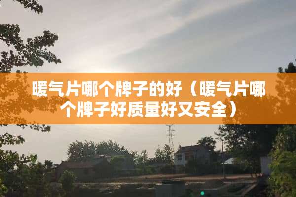 暖气片哪个牌子的好（暖气片哪个牌子好质量好又安全）