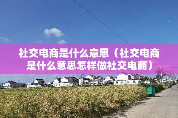 社交电商是什么意思（社交电商是什么意思怎样做社交电商）