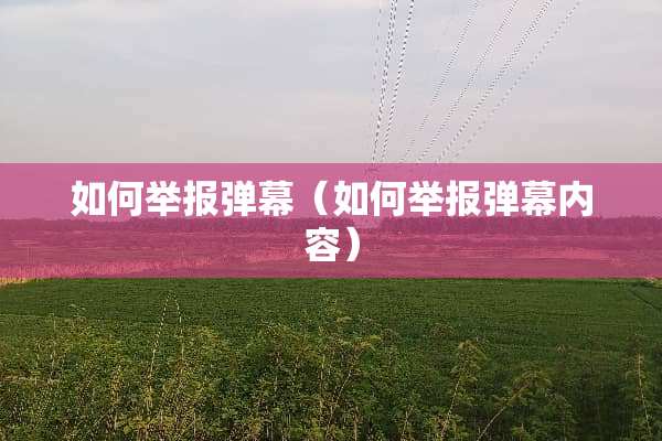 如何举报弹幕（如何举报弹幕内容）