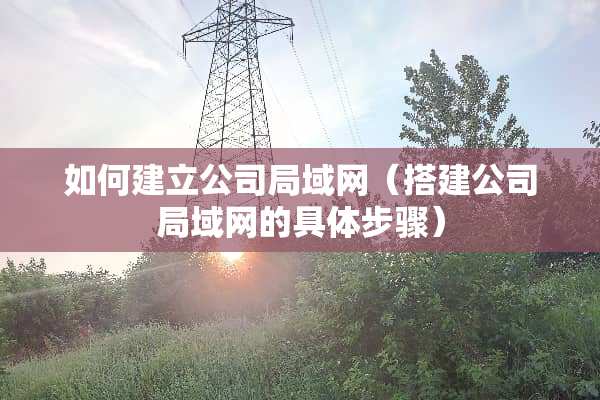 如何建立公司局域网（搭建公司局域网的具体步骤）