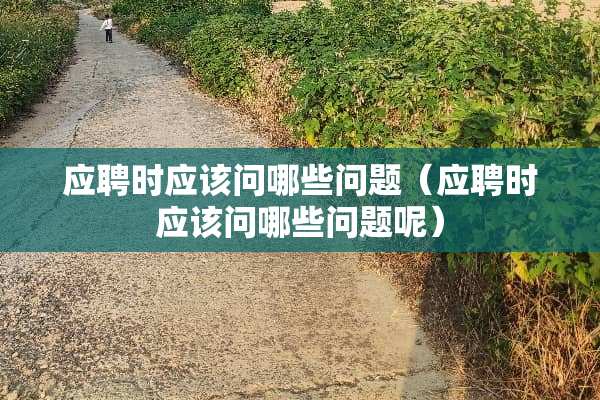 应聘时应该问哪些问题（应聘时应该问哪些问题呢）