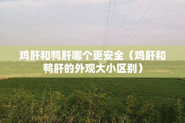 鸡肝和鸭肝哪个更安全（鸡肝和鸭肝的外观大小区别）