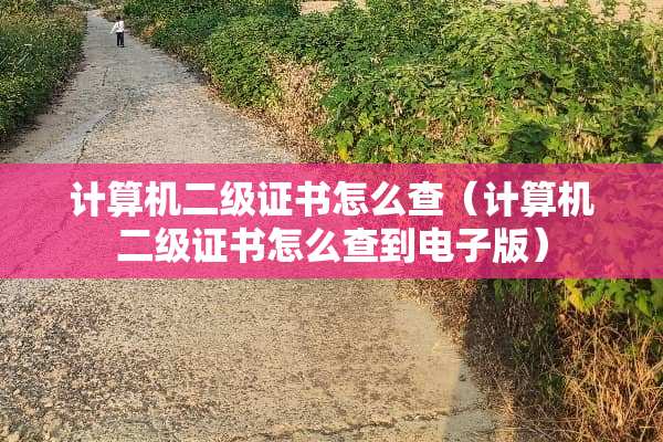 计算机二级证书怎么查（计算机二级证书怎么查到电子版）