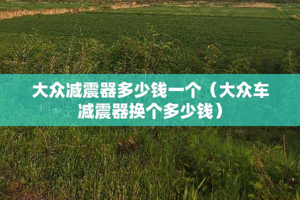 大众减震器多少钱一个（大众车减震器换个多少钱）