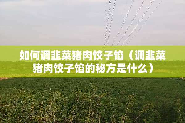 如何调韭菜猪肉饺子馅（调韭菜猪肉饺子馅的秘方是什么）