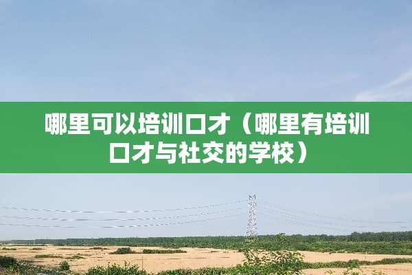 哪里可以培训口才（哪里有培训口才与社交的学校）
