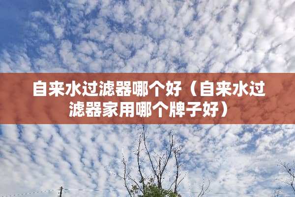 自来水过滤器哪个好（自来水过滤器家用哪个牌子好）