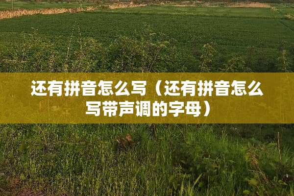 还有拼音怎么写（还有拼音怎么写带声调的字母）