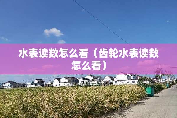 水表读数怎么看（齿轮水表读数怎么看）