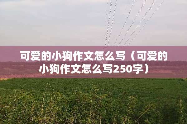 可爱的小狗作文怎么写（可爱的小狗作文怎么写250字）