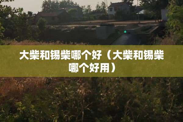 大柴和锡柴哪个好（大柴和锡柴哪个好用）