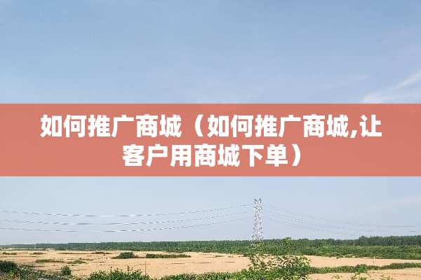 如何推广商城（如何推广商城,让客户用商城下单）