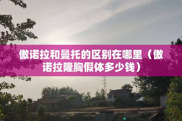 傲诺拉和曼托的区别在哪里（傲诺拉隆胸假体多少钱）