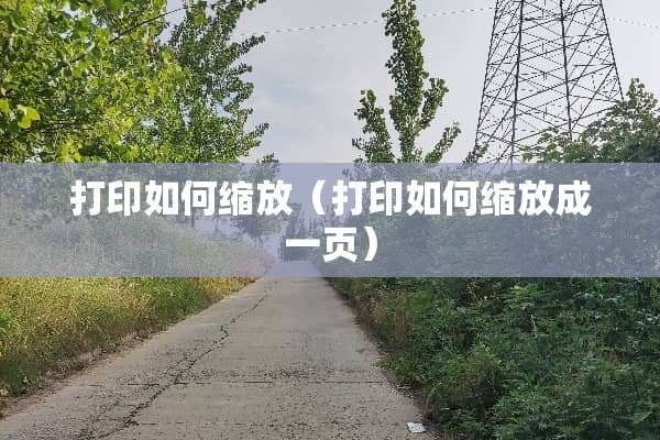 打印如何缩放（打印如何缩放成一页）