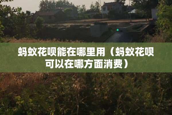 蚂蚁花呗能在哪里用（蚂蚁花呗可以在哪方面消费）