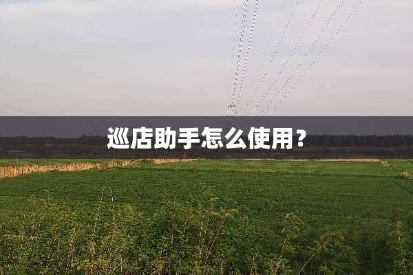 巡店助手怎么使用？