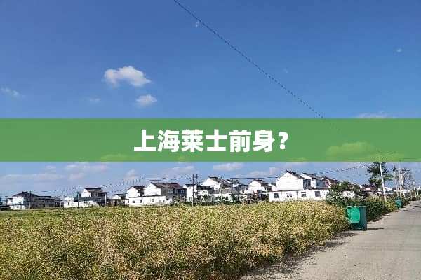 上海莱士前身？