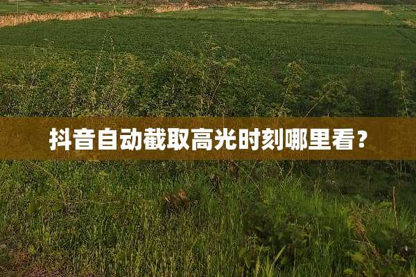 抖音自动截取高光时刻哪里看？