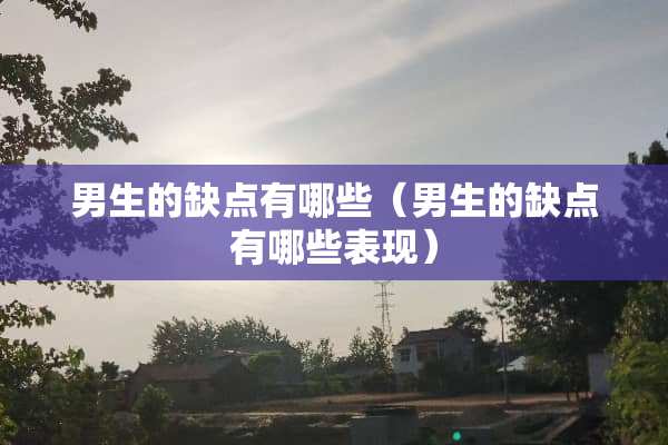 男生的缺点有哪些（男生的缺点有哪些表现）