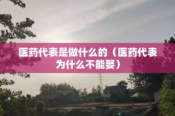 医药代表是做什么的（医药代表为什么不能娶）