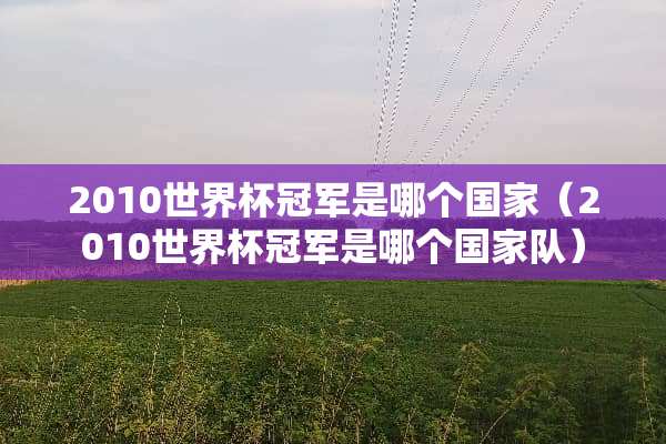 2010世界杯冠军是哪个国家（2010世界杯冠军是哪个国家队）
