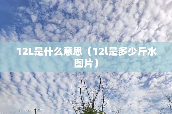12L是什么意思（12l是多少斤水图片）