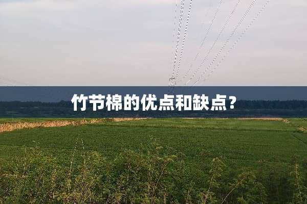 竹节棉的优点和缺点？