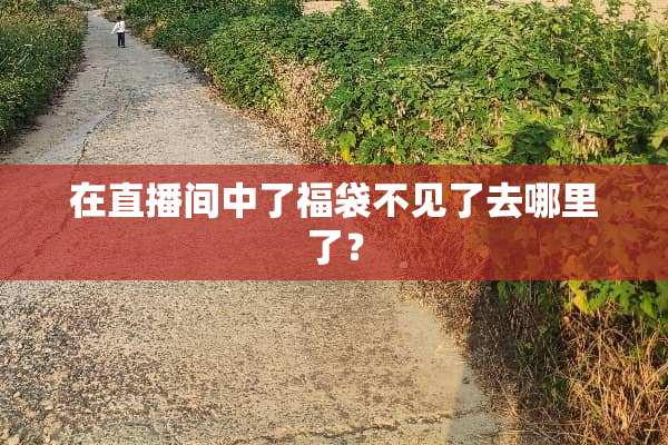 在直播间中了福袋不见了去哪里了？