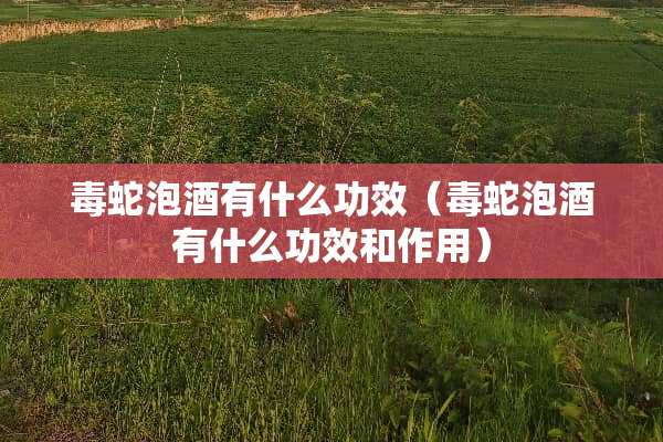 毒蛇泡酒有什么功效（毒蛇泡酒有什么功效和作用）