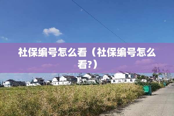 社保编号怎么看（社保编号怎么看?）