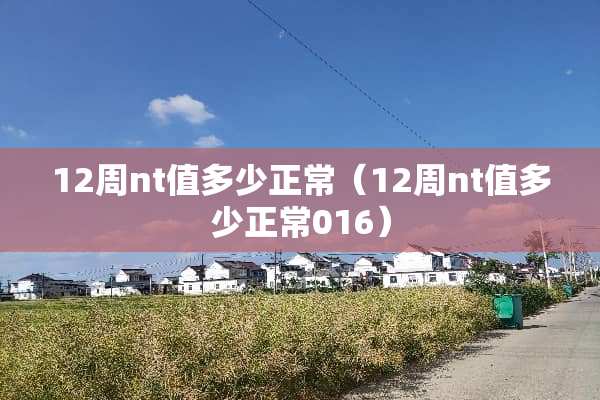 12周nt值多少正常（12周nt值多少正常016）