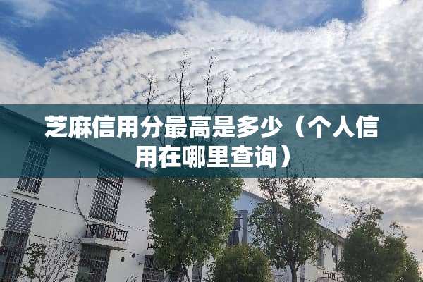 芝麻信用分最高是多少（个人信用在哪里查询）
