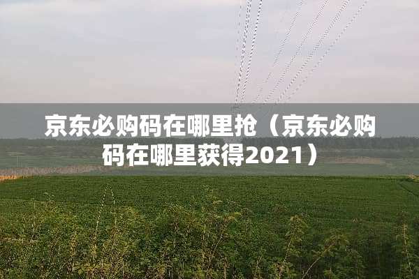 京东必购码在哪里抢（京东必购码在哪里获得2021）