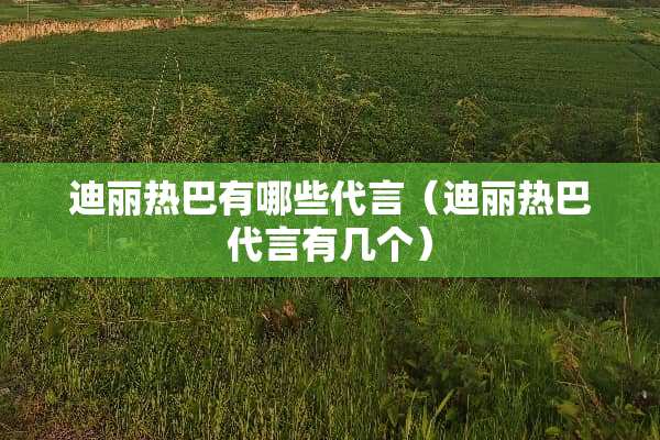 迪丽热巴有哪些代言（迪丽热巴代言有几个）