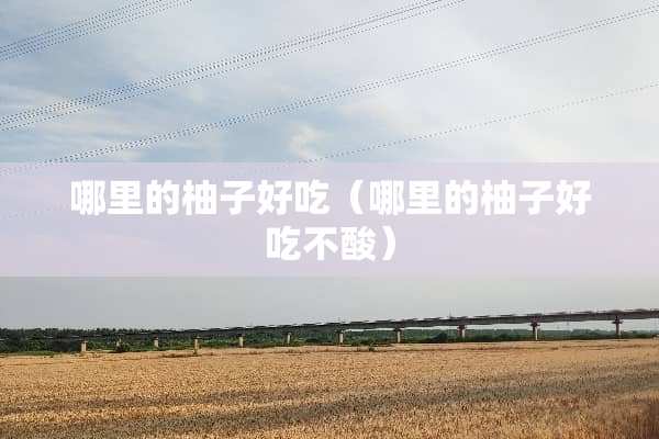 哪里的柚子好吃（哪里的柚子好吃不酸）