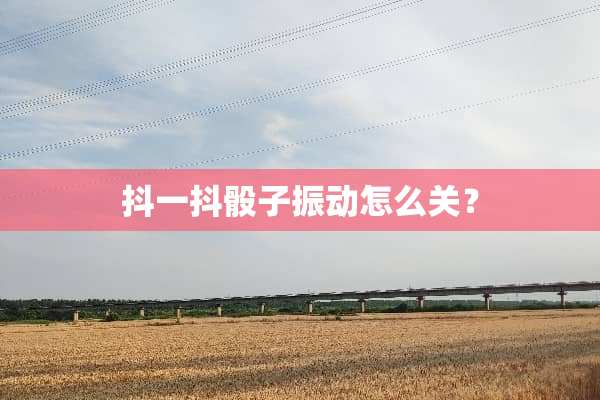 抖一抖**振动怎么关？