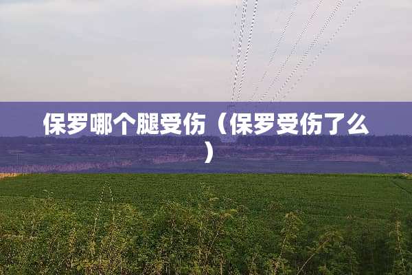 保罗哪个腿受伤（保罗受伤了么）