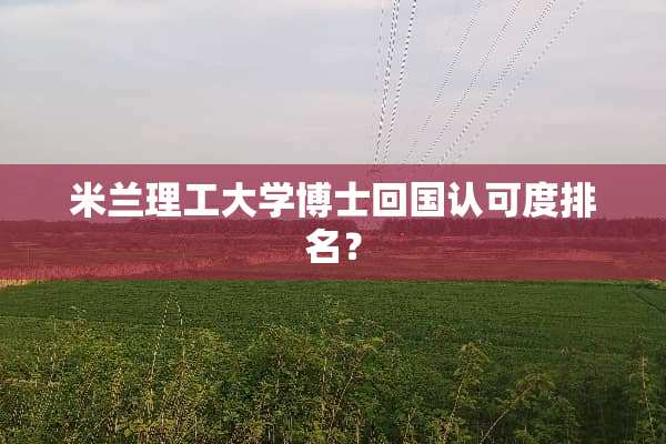 米兰理工大学博士回国认可度排名？