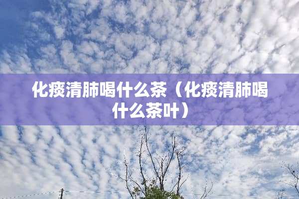 化痰清肺喝什么茶（化痰清肺喝什么茶叶）
